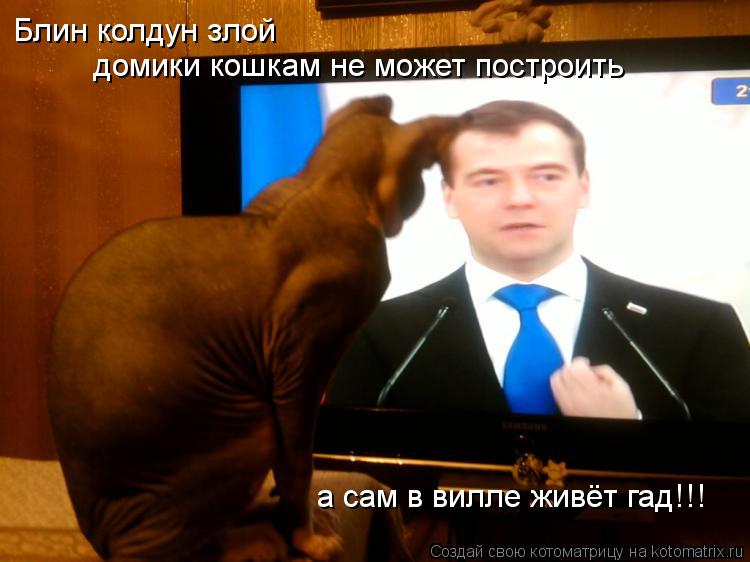 Блин колдун злой домики кошкам не может построить а сам в вилле живёт гад!!!... Котоматрица: Блин колдун злой домики кошкам не может построить а сам в вилле живёт гад!!!