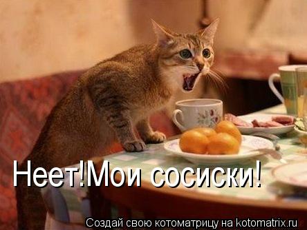 Неет!Мои сосиски!... Котоматрица: Неет!Мои сосиски!