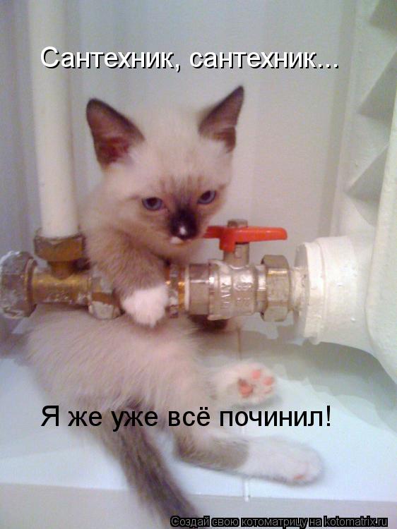 Сантехник, сантехник... Я же уже всё починил!... Котоматрица: Сантехник, сантехник... Я же уже всё починил!