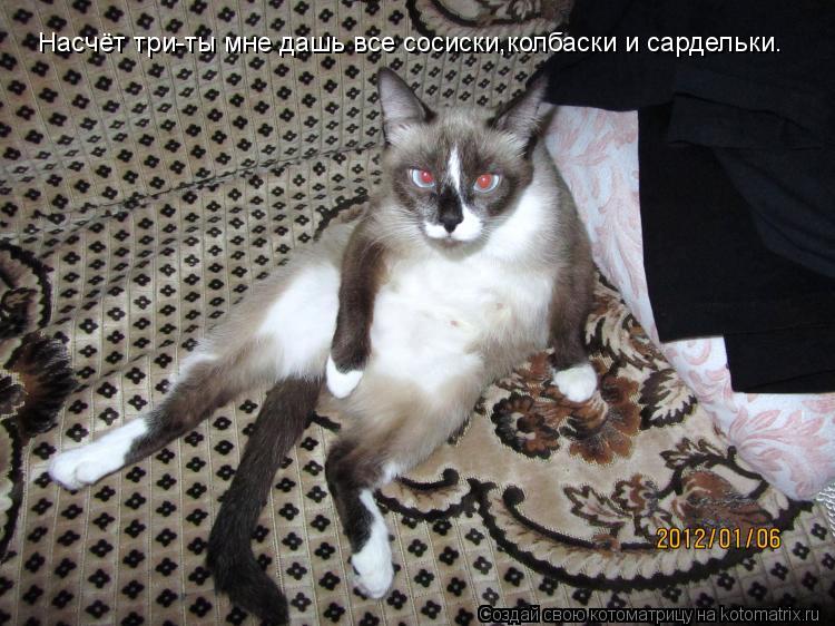 Насчёт три-ты мне дашь все сосиски,колбаски и сардельки.... Котоматрица: Насчёт три-ты мне дашь все сосиски,колбаски и сардельки.