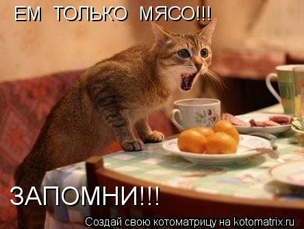 ЕМ ТОЛЬКО МЯСО!!! ЗАПОМНИ!!!... Котоматрица: ЕМ ТОЛЬКО МЯСО!!! ЗАПОМНИ!!!