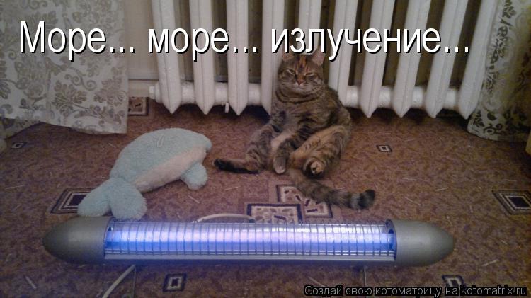 Море... море... излучение...... Котоматрица: Море... море... излучение...