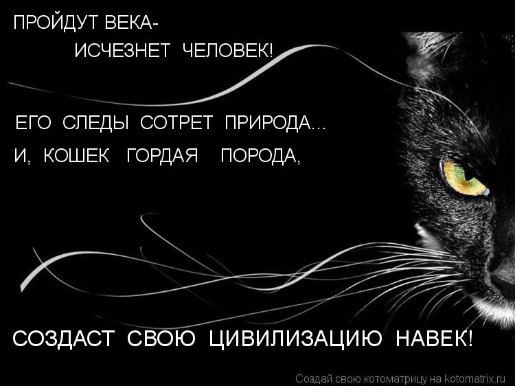 ПРОЙДУТ ВЕКА- ИСЧЕЗНЕТ ЧЕЛОВЕК! ЕГО СЛЕДЫ СОТРЕТ ПРИРОДА... И, КОШЕК ГОРДАЯ ПОРОДА, СОЗДАС... Котоматрица: ПРОЙДУТ ВЕКА- ИСЧЕЗНЕТ ЧЕЛОВЕК! ЕГО СЛЕДЫ СОТРЕТ ПРИРОДА... И, КОШЕК ГОРДАЯ ПОРОДА, СОЗДАСТ СВОЮ ЦИВИЛИЗАЦИЮ НАВЕК!
