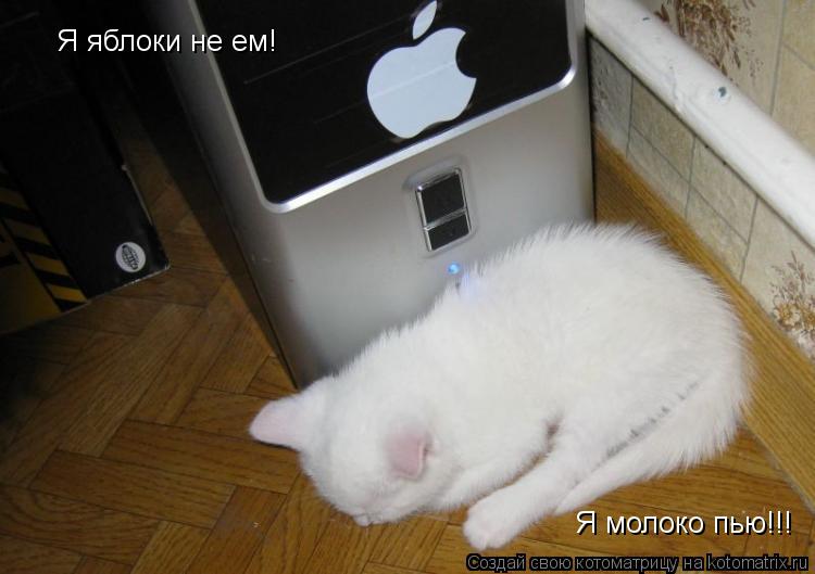 Я яблоки не ем! Я молоко пью!!!... Котоматрица: Я яблоки не ем! Я молоко пью!!!