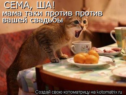 мама таки против против вашей свадьбы СЕМА, ША!... Котоматрица: мама таки против против вашей свадьбы СЕМА, ША!