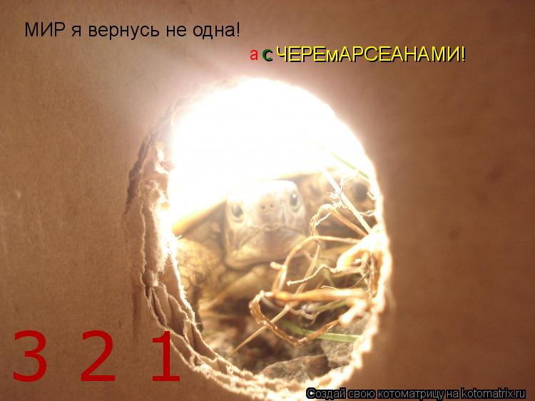 МИР я вернусь не одна! ЧЕРЕмАРСЕАНАМИ! а с 3 2 1... Котоматрица: МИР я вернусь не одна! ЧЕРЕмАРСЕАНАМИ! а с 3 2 1