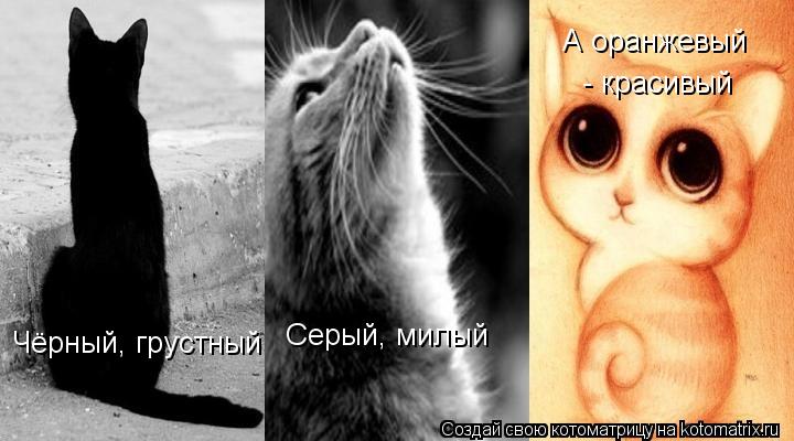 Чёрный, грустный Серый, милый А оранжевый - красивый... Котоматрица: Чёрный, грустный Серый, милый А оранжевый - красивый