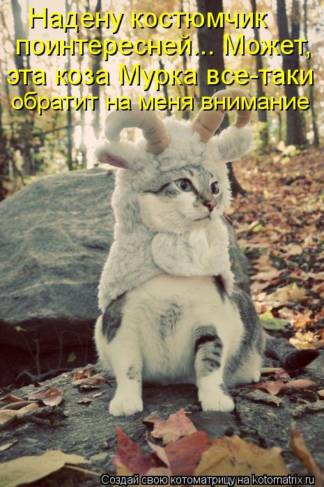 Надену костюмчик поинтересней... Может, эта коза Мурка все-таки обратит на меня внимание... Котоматрица: Надену костюмчик поинтересней... Может, эта коза Мурка все-таки обратит на меня внимание