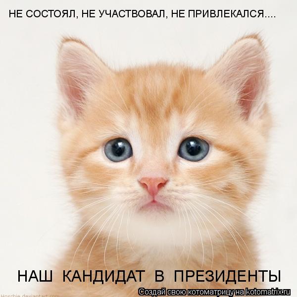 НЕ СОСТОЯЛ, НЕ УЧАСТВОВАЛ, НЕ ПРИВЛЕКАЛСЯ.... НАШ КАНДИДАТ В ПРЕЗИДЕНТЫ... Котоматрица: НЕ СОСТОЯЛ, НЕ УЧАСТВОВАЛ, НЕ ПРИВЛЕКАЛСЯ.... НАШ КАНДИДАТ В ПРЕЗИДЕНТЫ