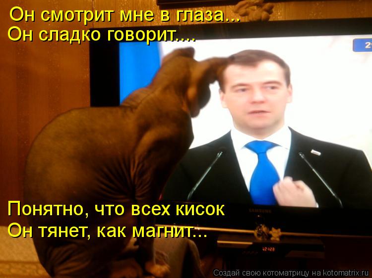 Он смотрит мне в глаза... Он сладко говорит.... Понятно, что всех кисок Он тянет, как магнит...... Котоматрица: Он смотрит мне в глаза... Он сладко говорит.... Понятно, что всех кисок Он тянет, как магнит...