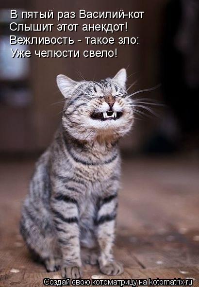 В пятый раз Василий-кот Слышит этот анекдот! Вежливость - такое зло: Уже челюсти свело!... Котоматрица: В пятый раз Василий-кот Слышит этот анекдот! Вежливость - такое зло: Уже челюсти свело!