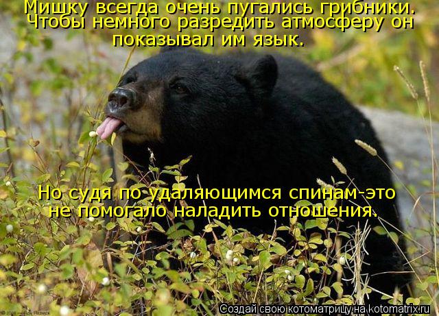 показывал им язык. Мишку всегда очень пугались грибники. Чтобы немного разредить атмосферу он Но судя... Котоматрица: показывал им язык. Мишку всегда очень пугались грибники. Чтобы немного разредить атмосферу он Но судя по удаляющимся спинам-это не помогал