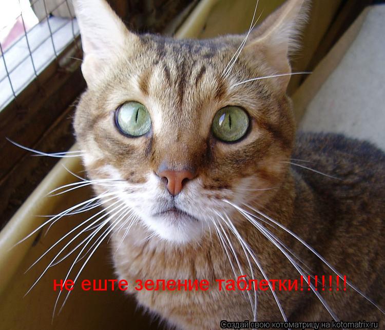 не еште зеление таблетки!!!!!!!... Котоматрица: не еште зеление таблетки!!!!!!!