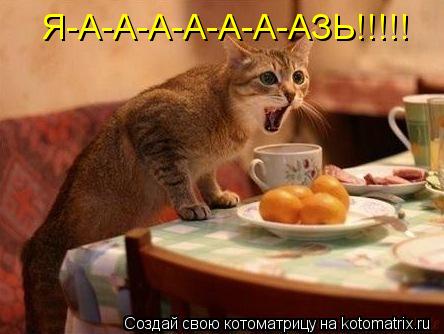 Я-А-А-А-А-А-А-АЗЬ!!!!!... Котоматрица: Я-А-А-А-А-А-А-АЗЬ!!!!!