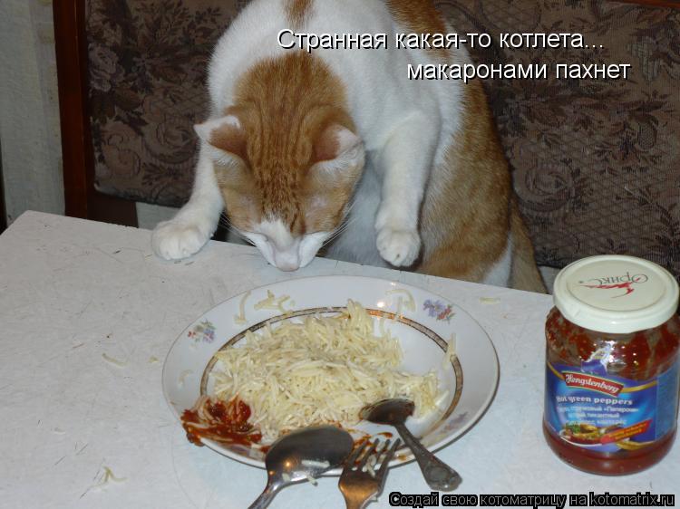 Странная какая-то котлета... макаронами пахнет... Котоматрица: Странная какая-то котлета... макаронами пахнет