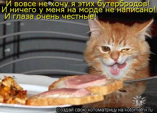 И вовсе не хочу я этих бутербродов! И ничего у меня на морде не написано! И глаза очень честные!... Котоматрица: И вовсе не хочу я этих бутербродов! И ничего у меня на морде не написано! И глаза очень честные!