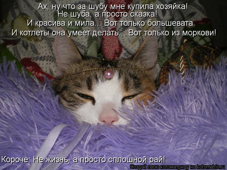 Ах, ну что за шубу мне купила хозяйка! Не шуба, а просто сказка! И красива и мила... Вот только больш... Котоматрица: Ах, ну что за шубу мне купила хозяйка! Не шуба, а просто сказка! И красива и мила... Вот только большевата И котлеты она умеет делать... Вот толь
