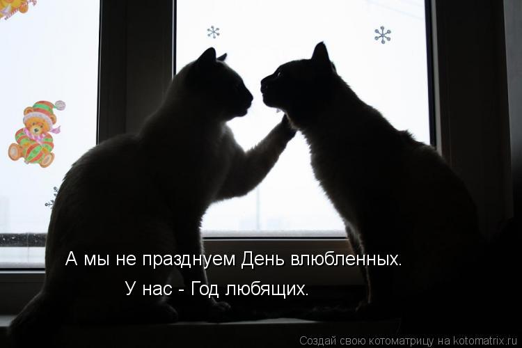 А мы не празднуем День влюбленных. У нас - Год любящих.... Котоматрица: А мы не празднуем День влюбленных. У нас - Год любящих.
