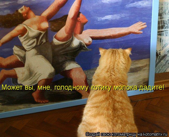 Может вы, мне, голодному котику молока дадите!... Котоматрица: Может вы, мне, голодному котику молока дадите!