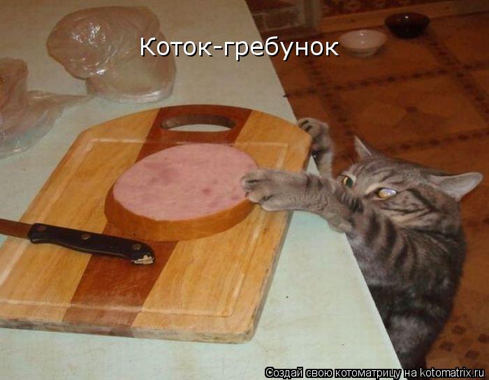 Коток-гребунок... Котоматрица: Коток-гребунок