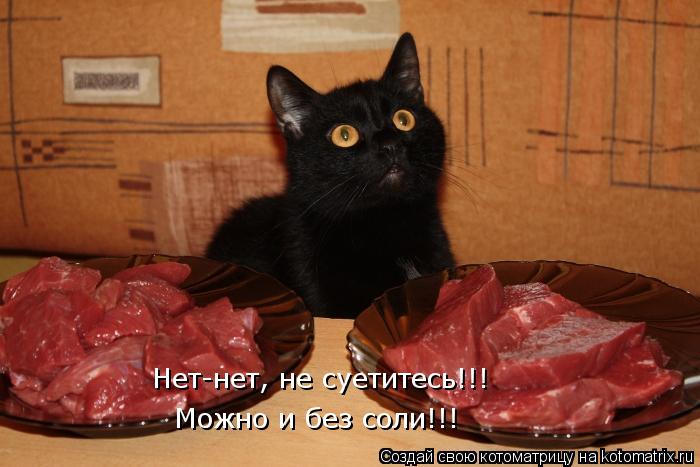 Нет-нет, не суетитесь!!! Можно и без соли!!!... Котоматрица: Нет-нет, не суетитесь!!! Можно и без соли!!!