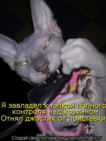 Я завладел кнопкой полного контроля над хозяином. Отнял джостик от приставки... Котоматрица: Я завладел кнопкой полного контроля над хозяином. Отнял джостик от приставки