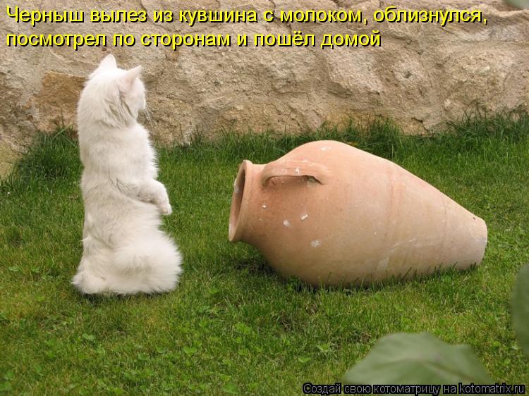 Черныш вылез из кувшина с молоком, облизнулся, посмотрел по сторонам и пошёл домой... Котоматрица: Черныш вылез из кувшина с молоком, облизнулся, посмотрел по сторонам и пошёл домой