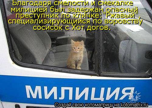 Благодаря смелости и смекалке милицией был задержан опасный преступник по кличке:"Ржавый", специализи... Котоматрица: Благодаря смелости и смекалке милицией был задержан опасный преступник по кличке:"Ржавый", специализирующийся по воровству сосисок с Хот д