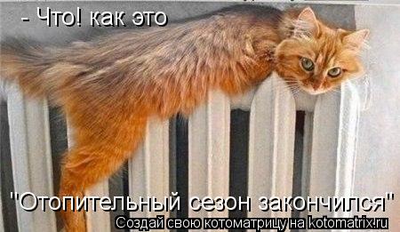 - Что! как это "Отопительный сезон закончился"... Котоматрица: - Что! как это "Отопительный сезон закончился"