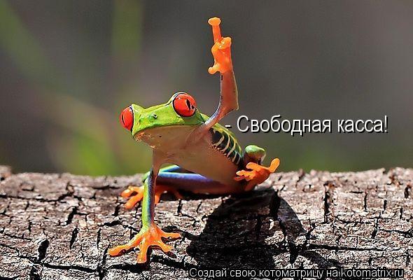 - Свободная касса!... Котоматрица: - Свободная касса!