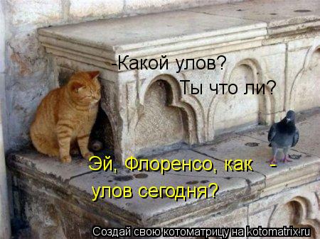 Эй, Флоренсо, как - улов сегодня? -Какой улов? Ты что ли?... Котоматрица: Эй, Флоренсо, как - улов сегодня? -Какой улов? Ты что ли?