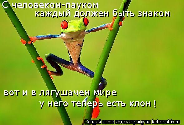 Котоматрица: С человеком-пауком каждый должен быть знаком вот и в лягушачем мире у него теперь есть клон !