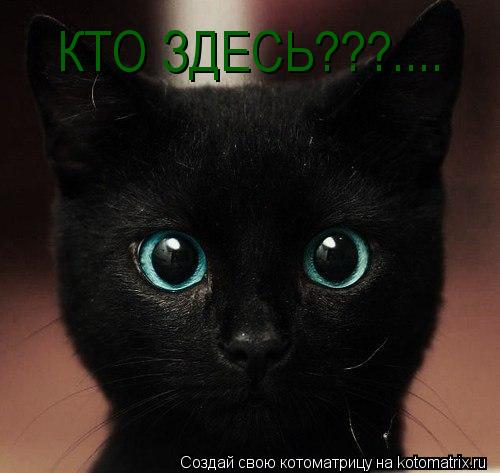 КТО ЗДЕСЬ???....... Котоматрица: КТО ЗДЕСЬ???....