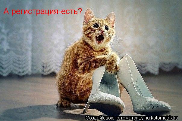 Котоматрица: А регистрация-есть?