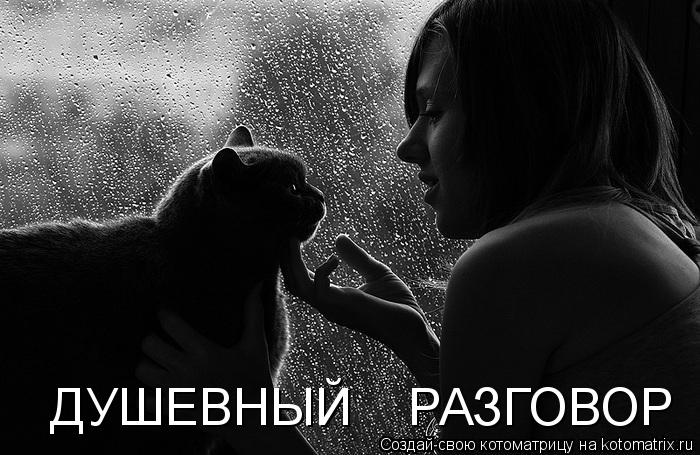 Котоматрица: ДУШЕВНЫЙ    РАЗГОВОР