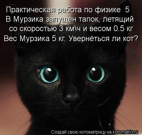 Котоматрица: Практическая работа по физике №5 В Мурзика запущен тапок, летящий со скоростью 3 км\ч и весом 0.5 кг Вес Мурзика 5 кг. Увернёться ли кот?
