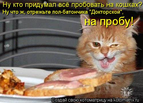 Котоматрица: Ну кто придумал всё пробовать на кошках? Ну что ж, отрежьте пол-батончика "Докторской", на пробу!