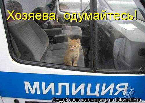 Котоматрица: Хозяева, одумайтесь!