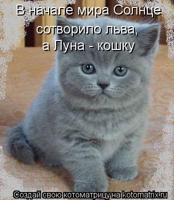 Котоматрица: В начале мира Солнце  сотворило льва,  а Луна - кошку
