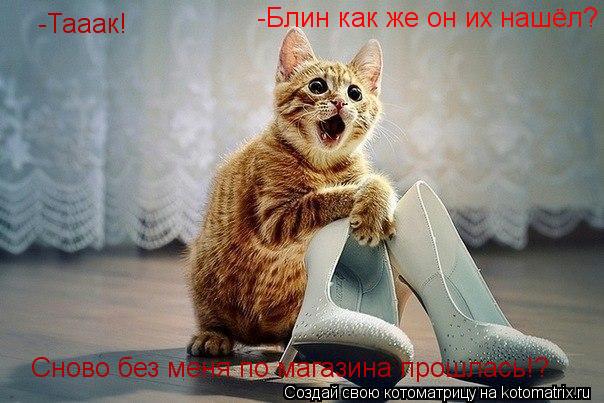 -Тааак! Сново без меня по магазина прошлась!? -Блин как же он их нашёл?... Котоматрица: -Тааак! Сново без меня по магазина прошлась!? -Блин как же он их нашёл?