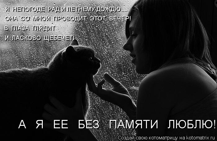 Я НЕПОГОДЕ РАД И ЛЕТНЕМУ ДОЖДЮ.... ОНА СО МНОЙ ПРОВОДИТ ЭТОТ ВЕЧЕР! В ГЛАЗА ГЛЯДИТ И ЛАСК... Котоматрица: Я НЕПОГОДЕ РАД И ЛЕТНЕМУ ДОЖДЮ.... ОНА СО МНОЙ ПРОВОДИТ ЭТОТ ВЕЧЕР! В ГЛАЗА ГЛЯДИТ И ЛАСКОВО ЩЕБЕЧЕТ! А Я ЕЕ БЕЗ ПАМЯТИ ЛЮБЛЮ!