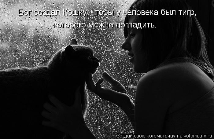 Бог создал Кошку, чтобы у человека был тигр, которого можно погладить.... Котоматрица: Бог создал Кошку, чтобы у человека был тигр, которого можно погладить.