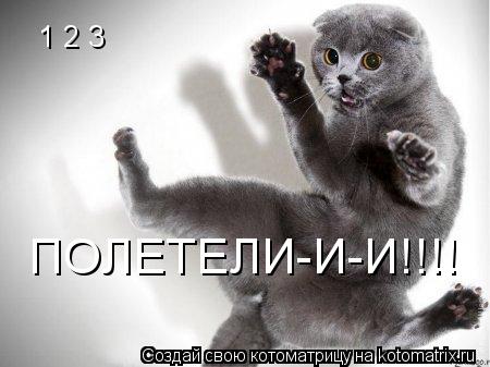 1 2 3 ПОЛЕТЕЛИ-И-И!!!!... Котоматрица: 1 2 3 ПОЛЕТЕЛИ-И-И!!!!