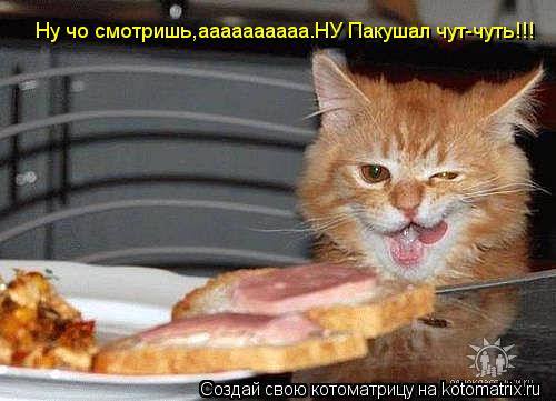 Ну чо смотришь,аааааааааа.НУ Пакушал чут-чуть!!! Ну чо смотришь,аааааааааа.НУ Пакушал чут-чуть!!! Ну ... Котоматрица: Ну чо смотришь,аааааааааа.НУ Пакушал чут-чуть!!! Ну чо смотришь,аааааааааа.НУ Пакушал чут-чуть!!! Ну чо смотришь,аааааааааа.НУ Пакушал чут-чут