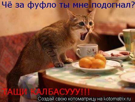 Чё за фуфло ты мне подогнал? ТАЩИ КАЛБАСУУУ!!!... Котоматрица: Чё за фуфло ты мне подогнал? ТАЩИ КАЛБАСУУУ!!!