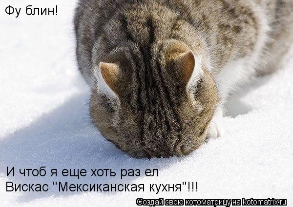 Фу блин! И чтоб я еще хоть раз ел Вискас "Мексиканская кухня"!!!... Котоматрица: Фу блин! И чтоб я еще хоть раз ел Вискас "Мексиканская кухня"!!!