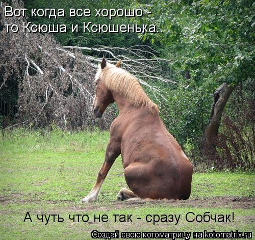 Вот когда все хорошо - то Ксюша и Ксюшенька.. А чуть что не так - сразу Собчак!... Котоматрица: Вот когда все хорошо - то Ксюша и Ксюшенька.. А чуть что не так - сразу Собчак!