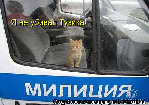 Я не убивал Тузика!... Котоматрица: Я не убивал Тузика!