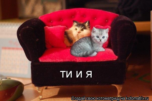 ти и я... Котоматрица: ти и я