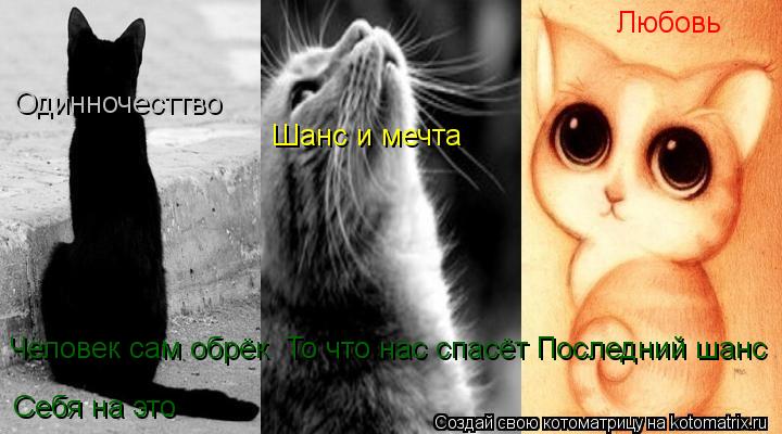 Одинночесттво Шанс и мечта Любовь Человек сам обрёк То что нас спасёт Последний шанс Себя на это... Котоматрица: Одинночесттво Шанс и мечта Любовь Человек сам обрёк То что нас спасёт Последний шанс Себя на это